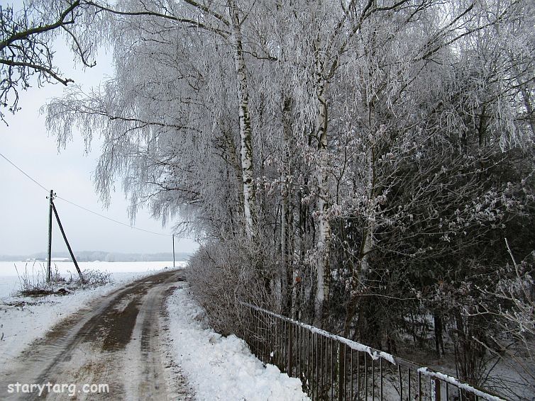 W zimowej scenerii