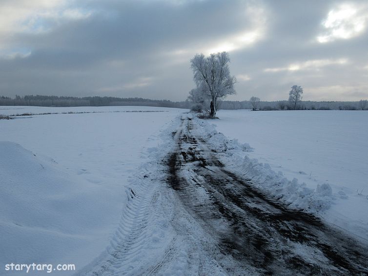 W zimowej scenerii