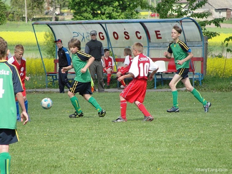 Powile Stary Targ - Lisovia Lisewo