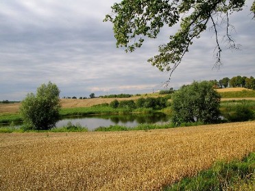 Jezioro pod Tropami Sztumskimi